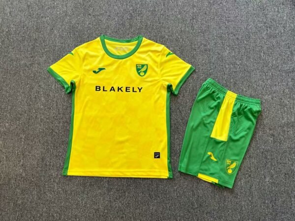 Norwich City 2425  home  kids kit